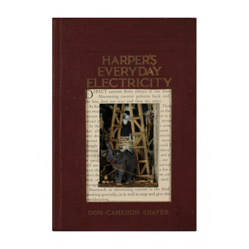 Harpers Everyday Electricity