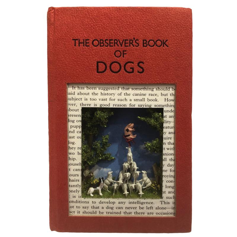 The Observers Books of Dogs