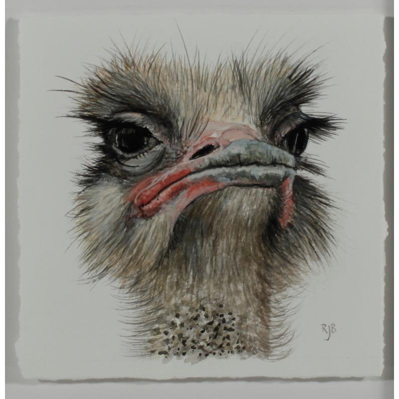 Ostrich Portrait (2)