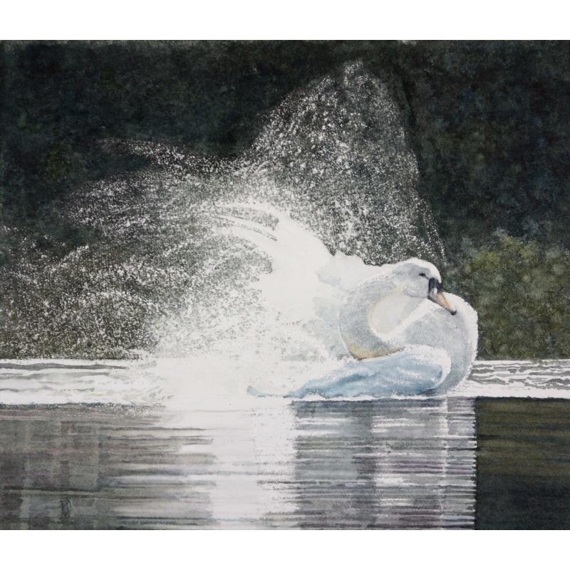 Swan Beating His Wings on the Water I