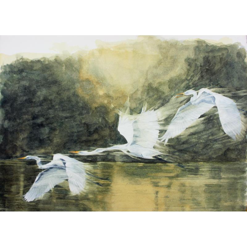 Egrets at Evening